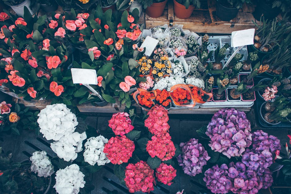 A vibrant display of various flowering plants arranged on a flower market stall, including bright pink and white hydrangeas, orange and white flowers in small containers, and potted plants with green 
